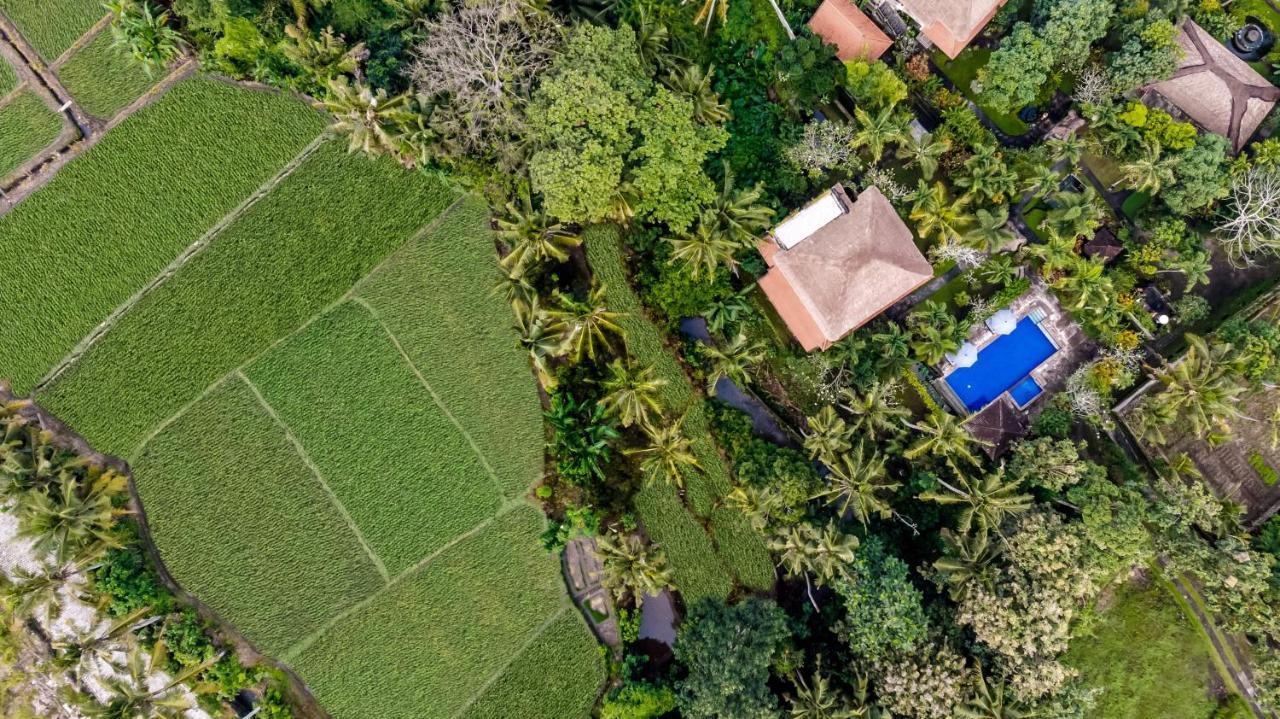 Alam Shanti Ubud Bagian luar foto
